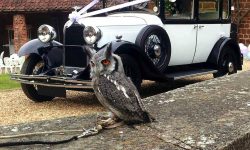 1928 Vintage 'Masons' British Built Citroen in White (with Owl)