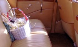 1950 MK V Jaguar in Ivory (interior) 1