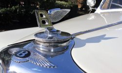 1950s Bentley Convertible in White 2 en (Website) Mascot
