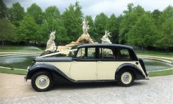 1951 Armastrong Siddleley long bodied Limousine in Black and Ivory 4