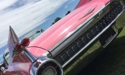 1959 Pink Cadillac convertible 1