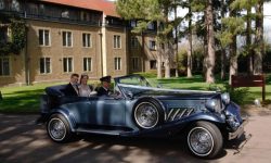 Blue Beauford 4