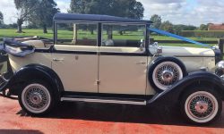 Regent in Ivory and Midnight Blue