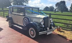 Regent in Midnight Blue over Ivory 2