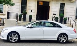 White LWB (Long wheelbase model) S Class Mercedes