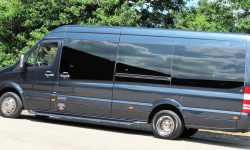 12 passenger Mercedes Excutive Party Bus 2