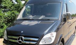 12 passenger Mercedes Excutive Party Bus