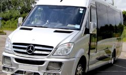 16 passenger Party Bus Silver W1