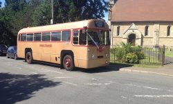 39 passenger AEC Single Deck RF Bus in Gold 2 39 passenger AEC Single Deck RF Bus in Gold 2
