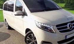 7 passenger Luxury V Class Mercedes in cream