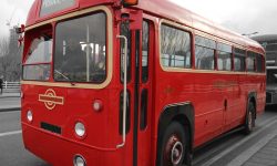 AEC Single Deck Bus in Red 3 AEC Single Deck Bus in Red 3