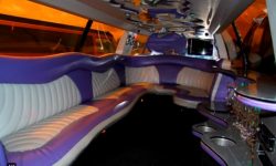 Excursion Stretch Jeep interior (14 passenger)