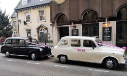 LouLou and Duey London Cabs 2