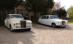 Rolls Royce Silver Cloud and Daimler Limousine together