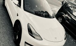 tesla2
