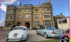 1960's Classic and Modern style Jaguar 04)